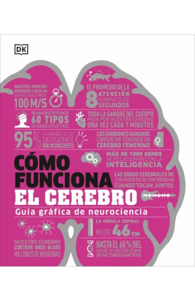 COMO FUNCIONA EL CEREBRO