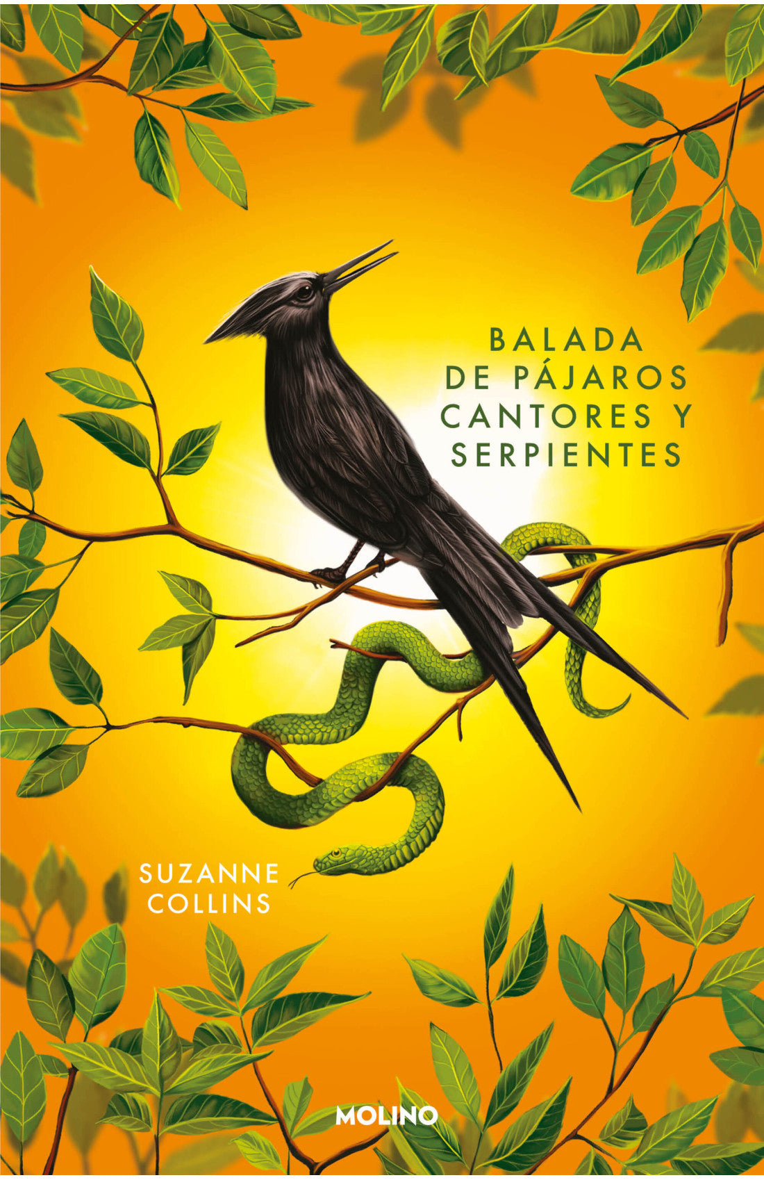 BALADA DE PAJAROS CANTORES Y SERPIENTES JUEGOS DEL HAMBRE 4