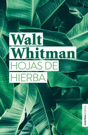 Hojas De Hierba