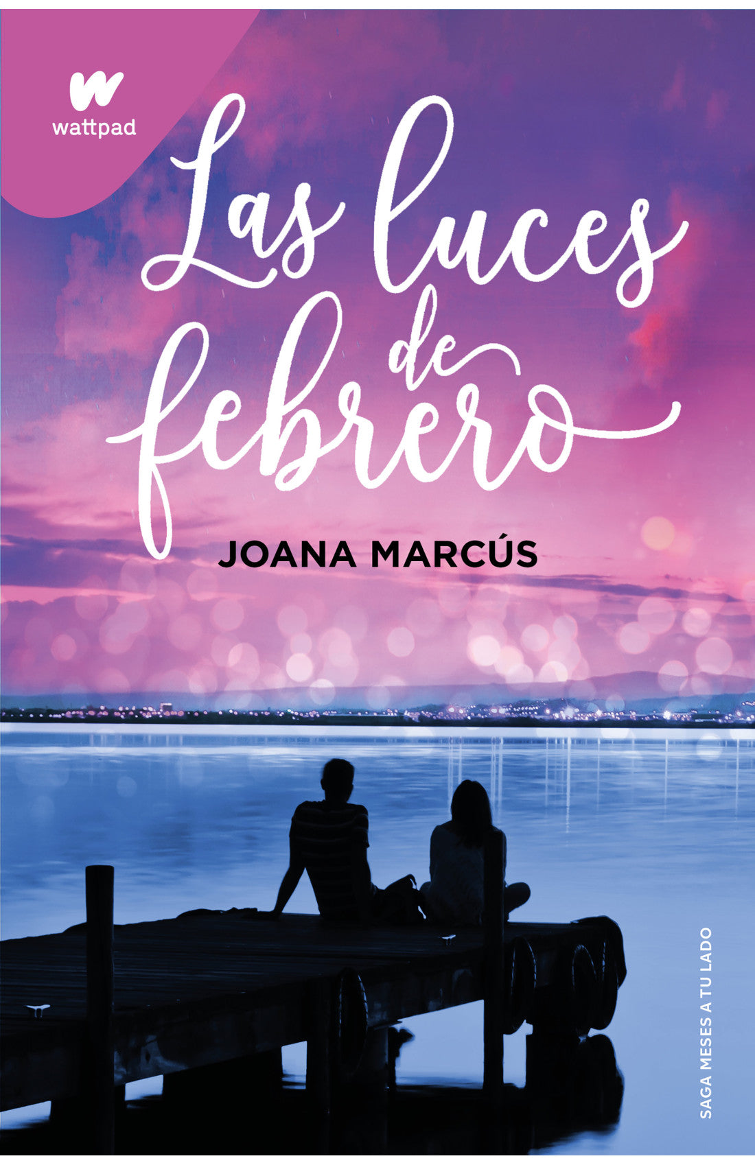 Las luces de febrero 4 saga Meses a tu lado