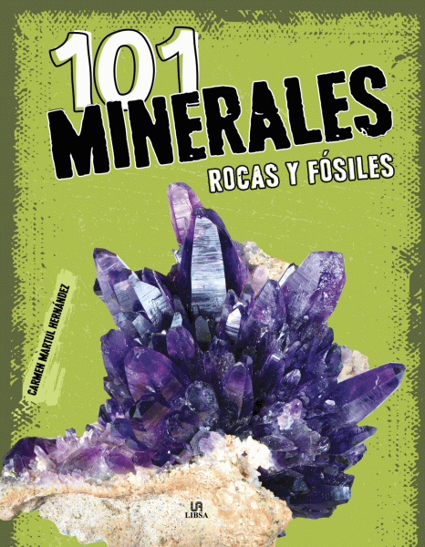 101 MINERALES Y ROCAS FOSILES