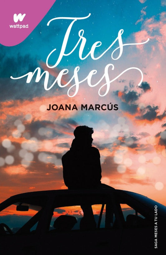 Tres Meses tercera parte de la saga Meses a tu lado