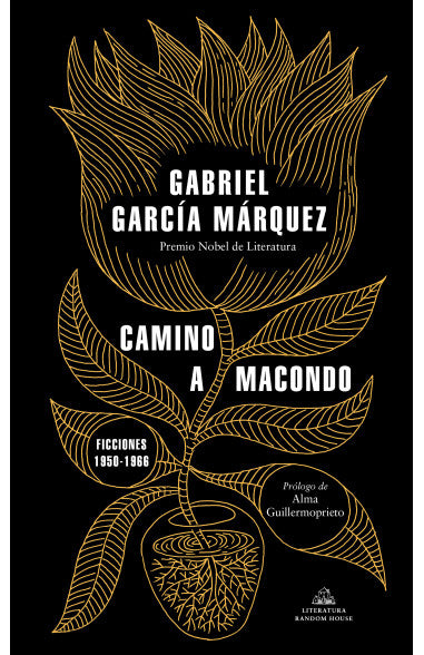 Camino a Macondo
